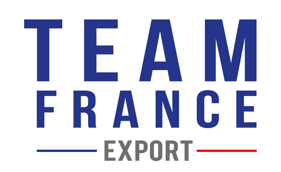logo-TFE-980x600